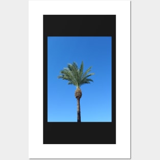 Single Palm Tree with Blue Sky2 Posters and Art